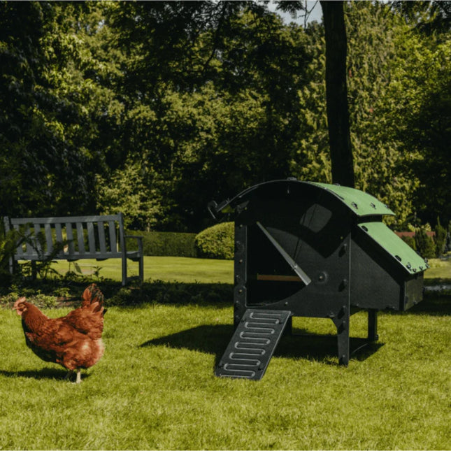 Nestera Kunststof Kippenhok Chicken Lodge Medium 99x136x100cm - Doika BV - Kippenhok - Nestera - 010821 - 010821